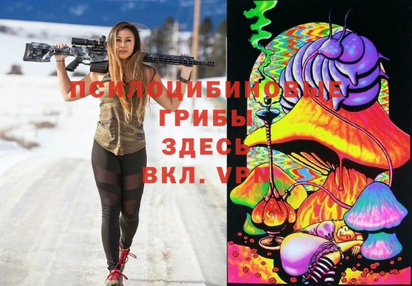 прущая мука Алзамай