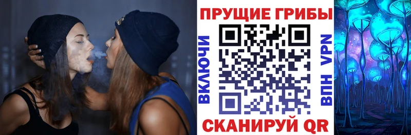 Псилоцибиновые грибы мицелий Стародуб