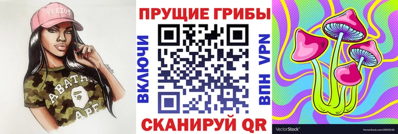 Галлюциногенные грибы Psilocybine cubensis Стародуб